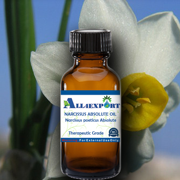 NARCISSUS ABSOLUTE OIL